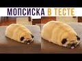 Мопсиска в тесте) Приколы | Мемозг #579