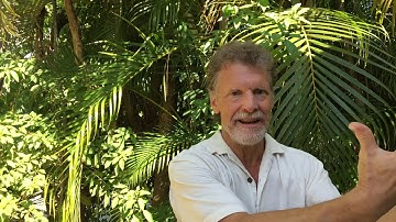 Phi and Non-Phi Identity (#6192E)