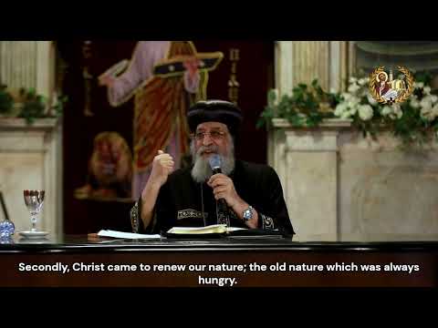 كلمة X كبسولة حكايات الشجرة المغروسة ١٠ رحلة الجوع والشبع في اجتماع الأربعاء