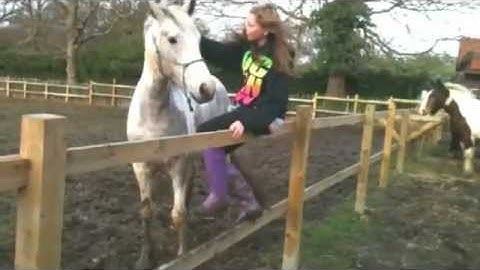 Skye mounting to the fence at liberty!