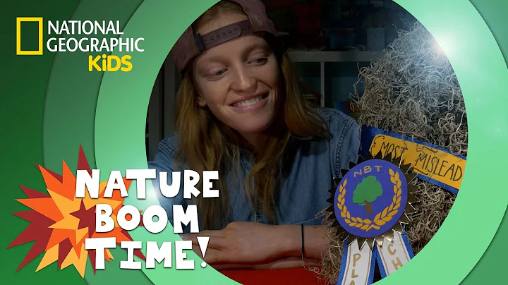 Spanish Moss | Nature Boom Time | @natgeokids