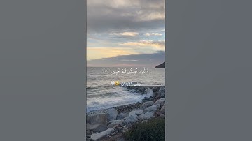 قرآن كريم سورة الشعراء القارئ ياسر الدوسري🕊️🤍