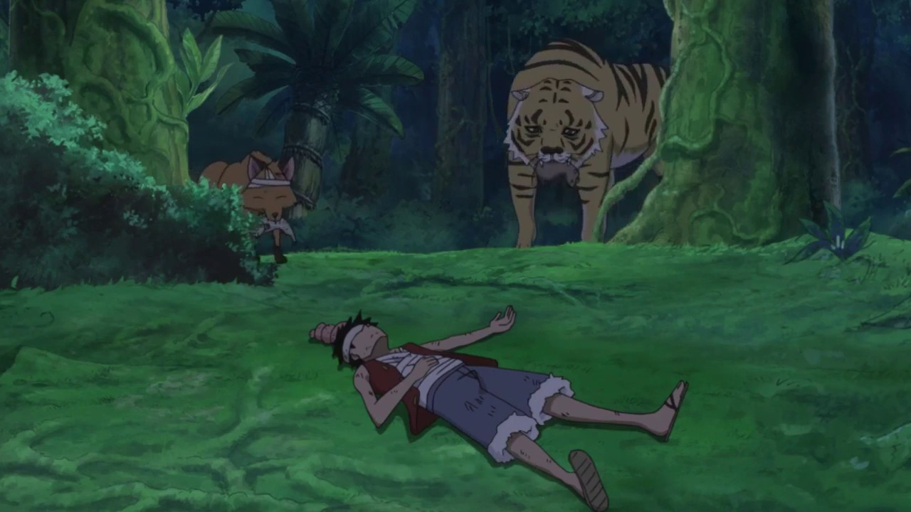 Luffy trains with animals his observation haki to pass the test of rayleigh
