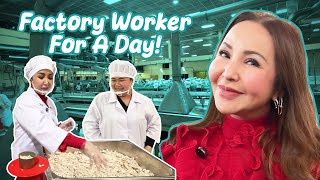 Download Lagu I Just Learned How To Pack Canned Mackerel in a Factory! | Small Laude MP3 Download Lagu I Just Learned How To Pack Canned Mackerel in a Factory! | Small Laude MP3