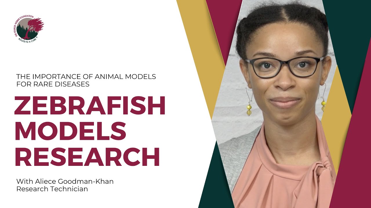 Zebrafish Research with Aliece Goodman-Khan - YouTube