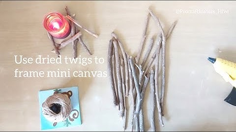 DIY Twig Picture Frame | How To Make a Picture Frame Out Of Dried Twigs | Rustic Picture Frame |
