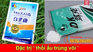 Giới Thiệu 2 Loại Thuốc Điều Trị Bệnh Thối Ấu Trùng Vôi  Ở Ong Hiệu Quả