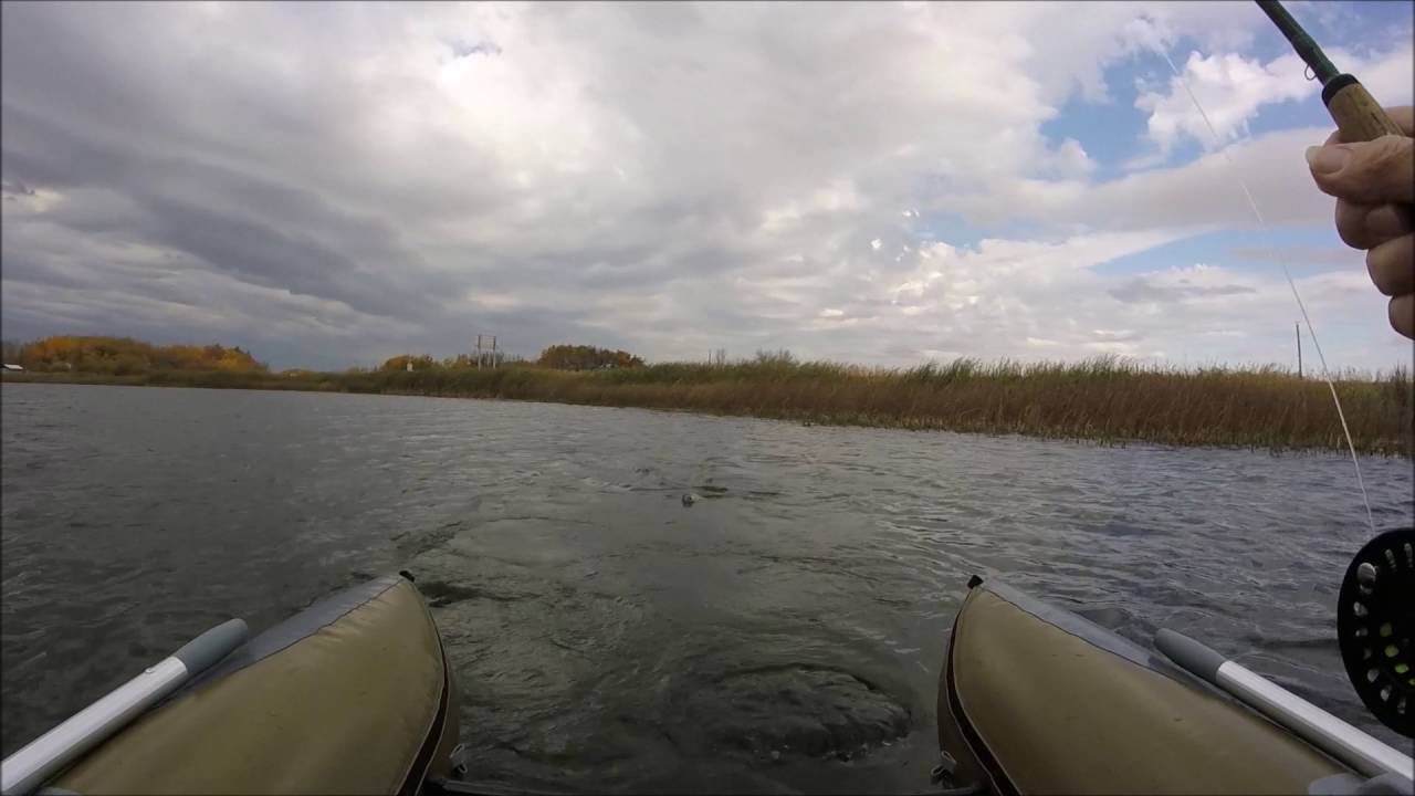 Anton's Lake Fly Fishing Manitoba Parkland Trout YouTube