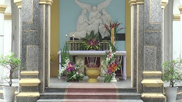 Thánh Địa Báo Đáp, Thánh Lễ Cầu Nguyện Cho Các Linh Hồn. Ngày Cải Táng 30/10/2024