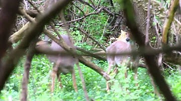 Endr and the World around