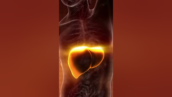 Your Liver's Worst Enemies