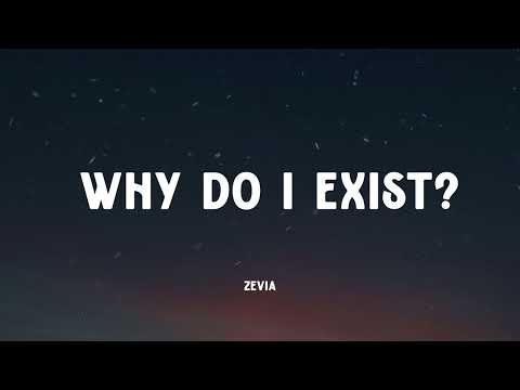 Zevia Why Do I Exist Music Video Lyrics