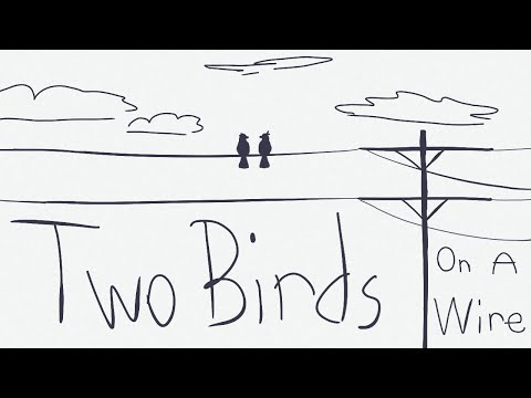 Two Birds animation