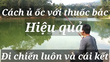 Cách ủ ốc với thuốc bắc hiệu quả - Đi chiến luôn và cái kết