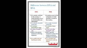 Difference between DNA and RNA