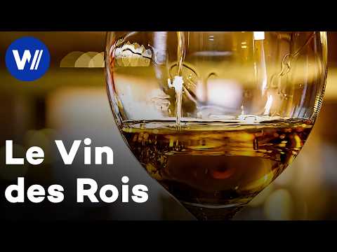 Le vin des rois : les secrets du Tokaj hongrois | Des vignes et des hommes