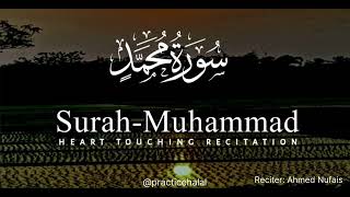 Surah Muhammad سورة محمد |  Calm & Relaxing Quran  | Ahmed Nufais| Practice Halal