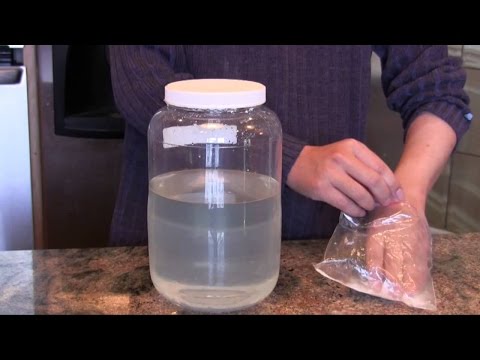 Video: Cili është reagimi i letrës blu të lakmusit kur zhytet në një substancë që përmban acid?