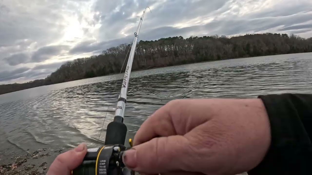 North Alabama Bank Fishing SUCCESS! 9lb Blue Catfish