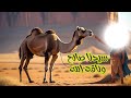 قصة سيدنا صالح عليه السلام - من قصص الأنبياء: قصة  سيدنا صالح عليه السلام