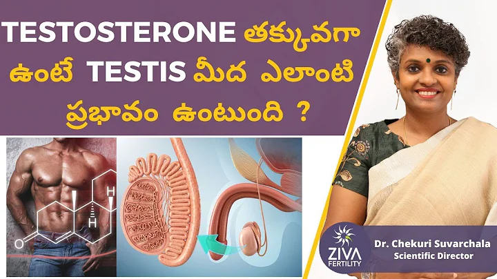 Testosterone తక్కువగా ఉంటే || Low Testosterone And Male Fertility || Dr Chekuri Suvarchala