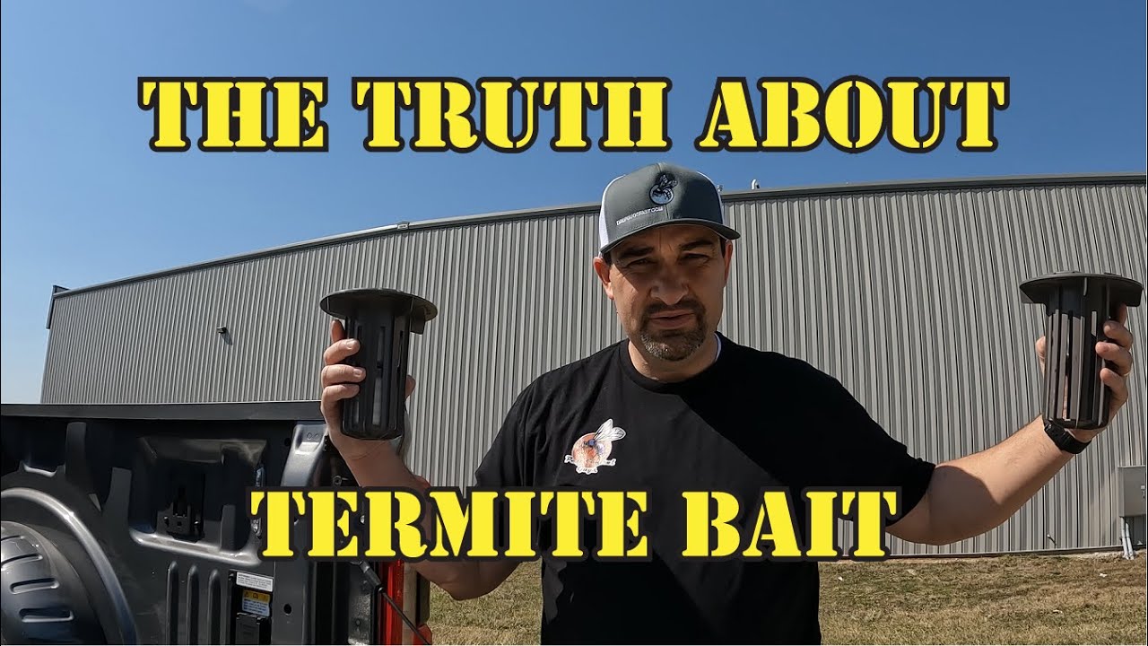 Are You Getting Scammed By Termite Bait Systems?