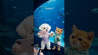 귀여운 멍멍이 강아지 #귀여운멍멍이 #귀여운강아지 #puppy #pets #강아지브이로그 #반려동물 #반려견 #dog