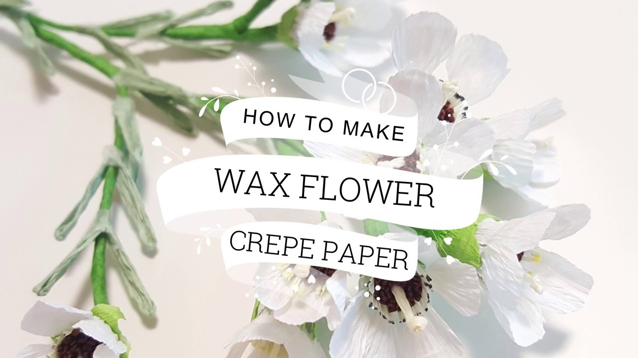 How To Make Crepe Paper Flowers Dipped In Wax Best Flower Site