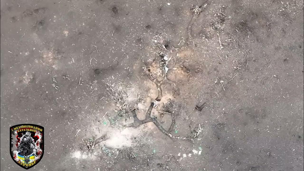 110 та окрема механізована бригада імені генерал хорунжого Марка ...