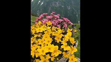 /بداية سورة الانشقاق /مقطع قران قصير تلاوة خاشعة من روائع الشيخ عبدالباسط عبدالصمد رحمه الله تعالى