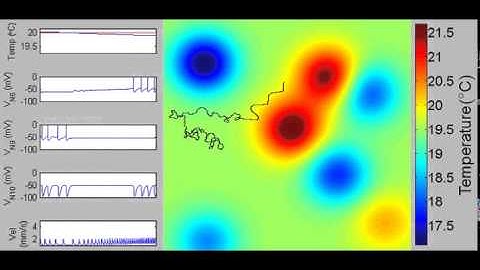 Spiking Neural Network for 2-D Exploration and Contour Tracking