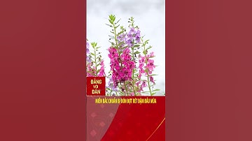 Miền Bắc chuẩn bị đón đợt rét đậm đầu mùa | Đảng với Dân