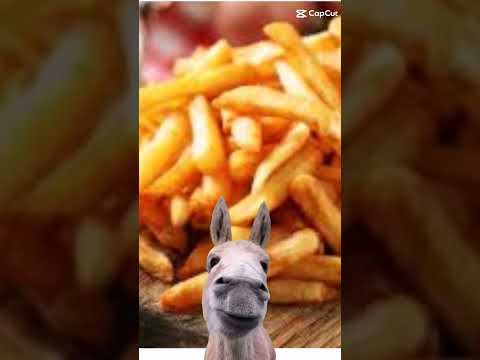 علباساتا الباستا يا عيني علباساته