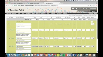 Scheduling and Assigning Tasks with Function Point