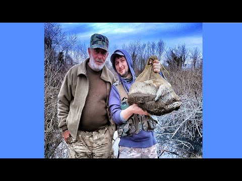 გაზაფხულის აქტიური ქარიყლაპია 2023წ (Tevzaoba spiningit shukaze  )