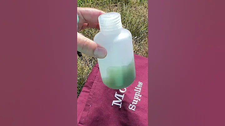 What to do with dirty paint water outside  Plein a...