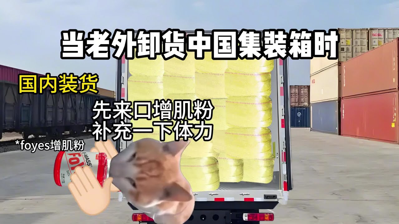 猫meme的日常-当老外卸货中国集装箱时#猫meme #猫meme小剧场 #猫meme剧场 #内容过于真实 #搞笑
