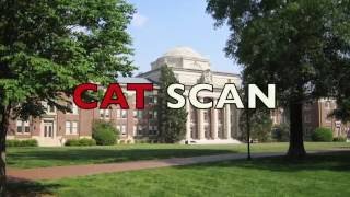 Cat Scan Dylan Carmack