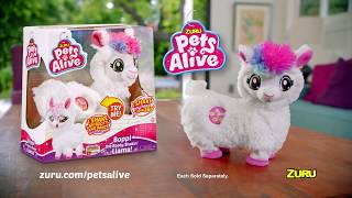 Pets Alive - Boppi The Booty Shakin Llama