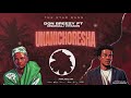Don Breezy Feat Msomali Vitamin Unanichoresha Official Music Audio 