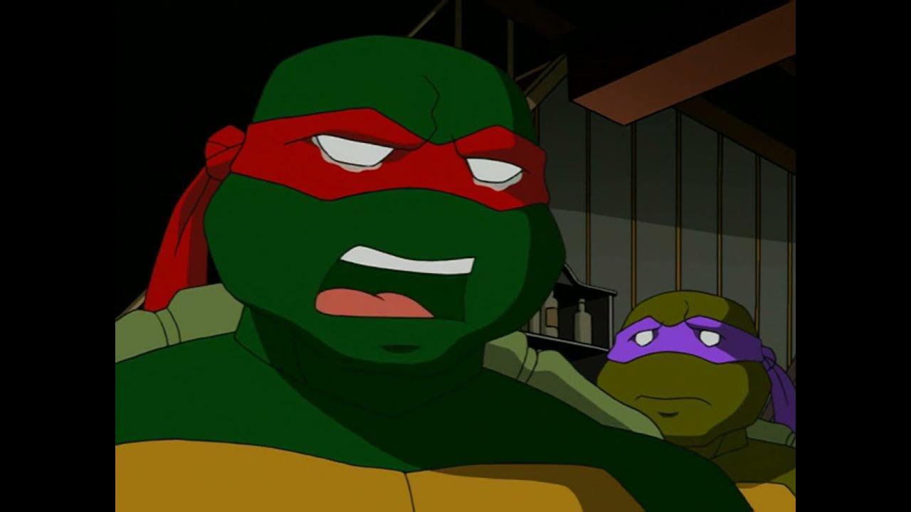 Teenage mutant ninja turtles 2003 стим фото 78