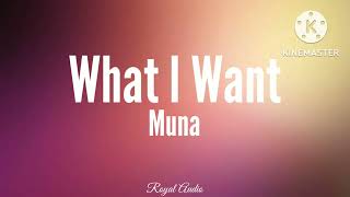 Muna - What I Want (Audio)