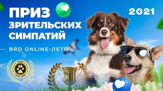 BRD-ONLINE ЛЕТО 2021 Приз зрительских симпатий HD Качество