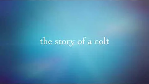 The Life Of A Horse (Trailer)