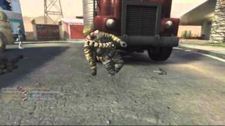 Black Ops Bug