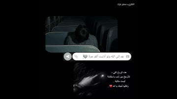 حالات واتس اب دينيه قرآن /ستوريات دينيه قرآن الكريم /مقاطع انستقرام قرآن/راحه لقلبك /سمير عزت
