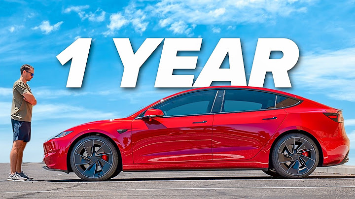 Don't Buy a Model 3 Performance Until You Watch This 1 Year Review