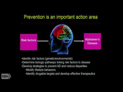 Race, risk, and resilience: understanding racial differences in cognitive aging and brain pathology