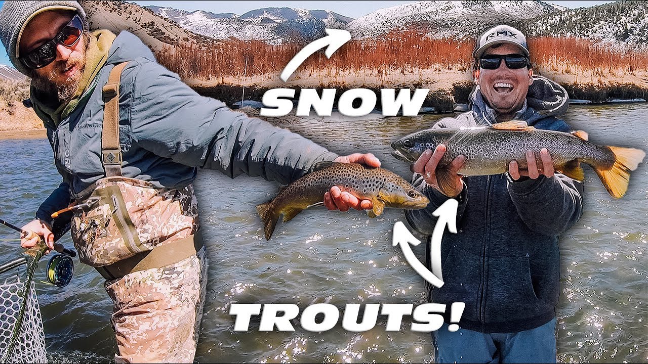 Fly fishing Colorado for GIANT SNOW TROUTS!!! (Breckenridge Outfitters) YouTube