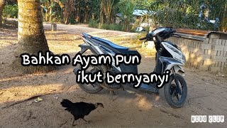 Seucap Janji Yang Ku Percaya || Ipank - Cinta Hilang || Stori Wa